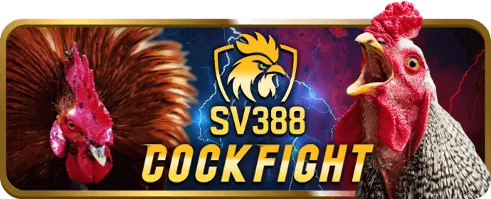 Quản lý tài khoản VIP riêng tại 13win